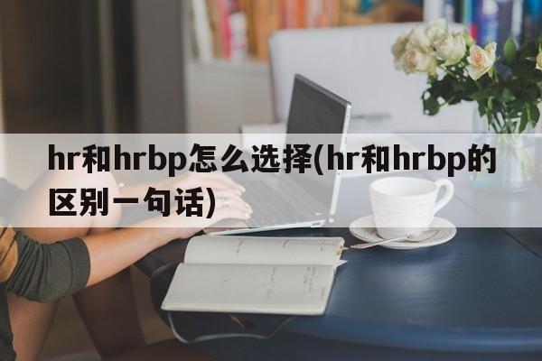 hr和hrbp怎么选择(hr和hrbp的区别一句话)